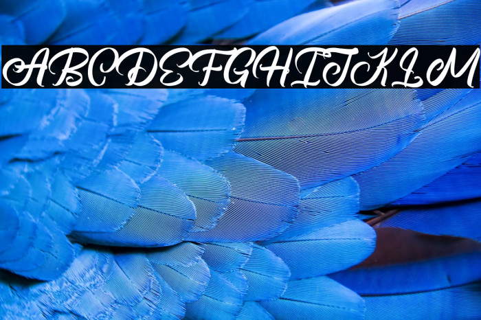 BrightsomeFreePersonalUse Example 1