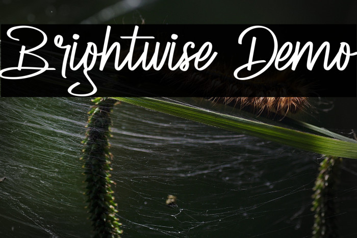 Brightwise Demo Example 1