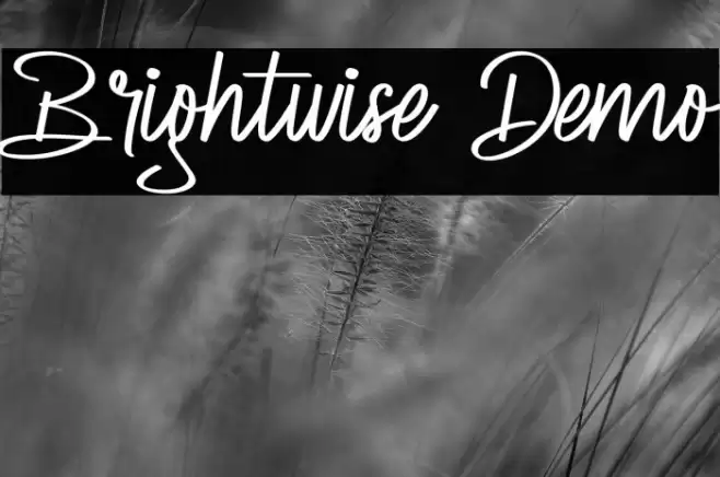 Brightwise Demo Font examples