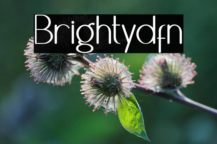 Brightydfn Example 3