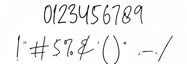 Brigidha-Regular Font OTHER CHARS