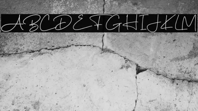 Brigidha-Regular Font examples