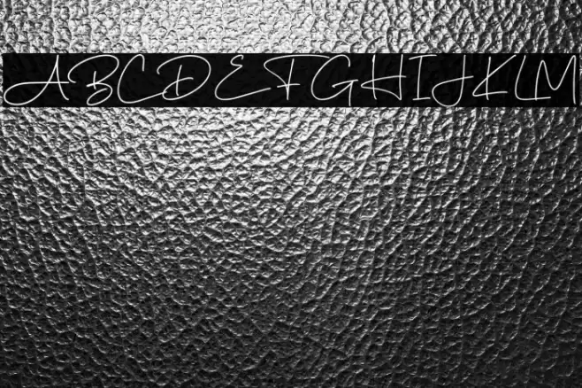 Brigidha-Regular Font examples