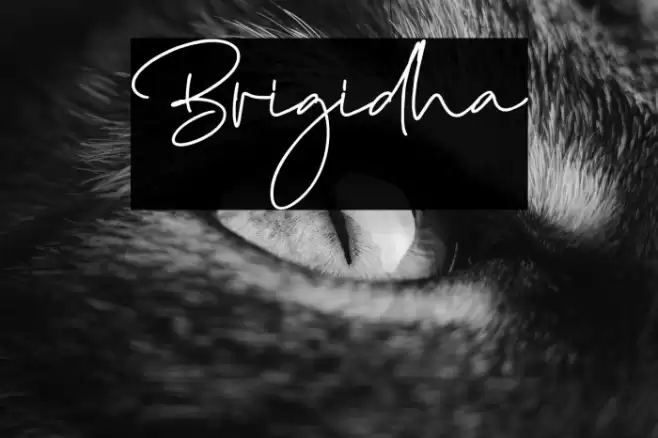 Brigidha Fuentes examples