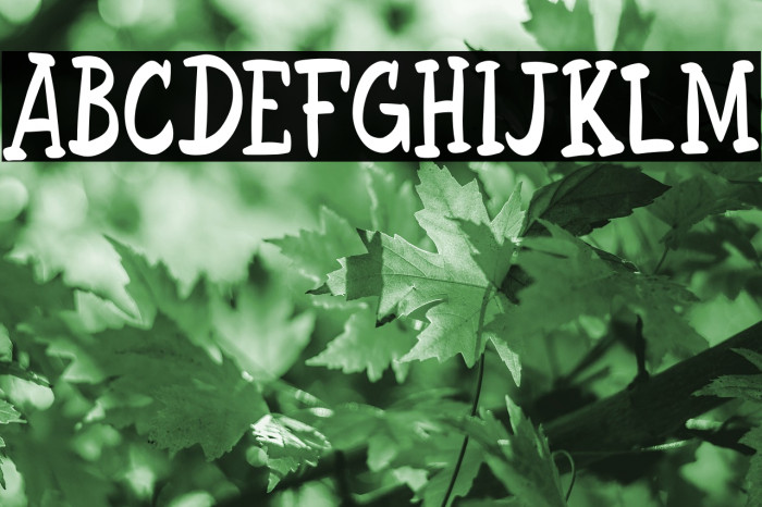 BrigitaFREE Font examples