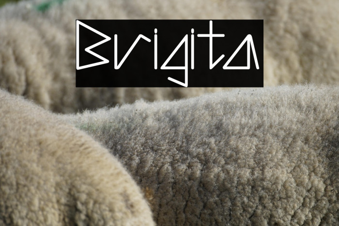 Brigita Example 1