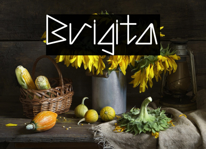 Brigita Example 3