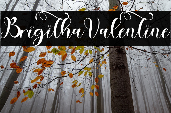 Brigitha Valentine Example 1