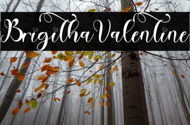 Brigitha Valentine Example 1