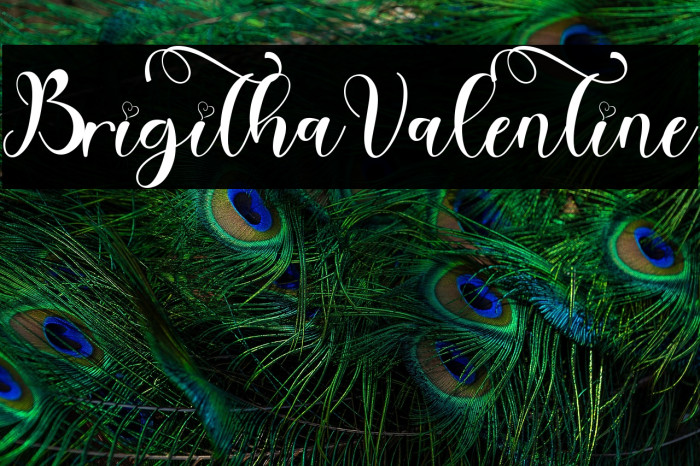 Brigitha Valentine Example 2