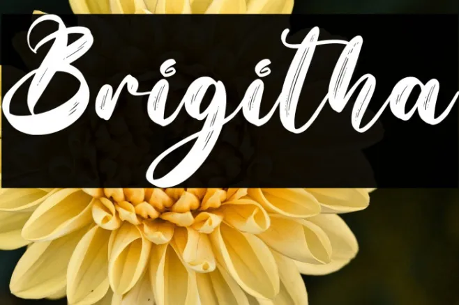 Brigitha Example 1