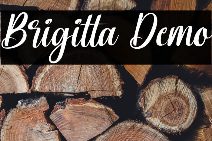 Brigitta Demo Example 1
