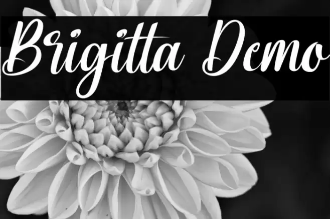 Brigitta Demo Font examples