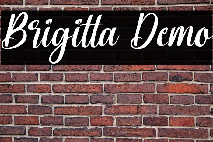 Brigitta Demo Example 3