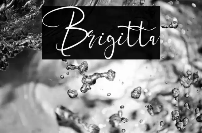 Brigitta Font examples