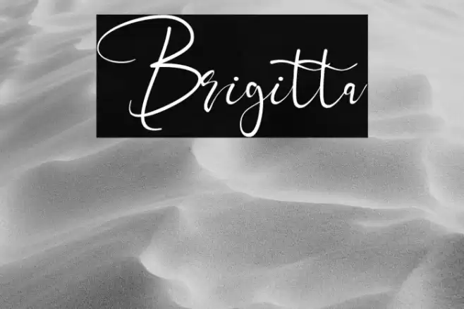 Brigitta Font examples