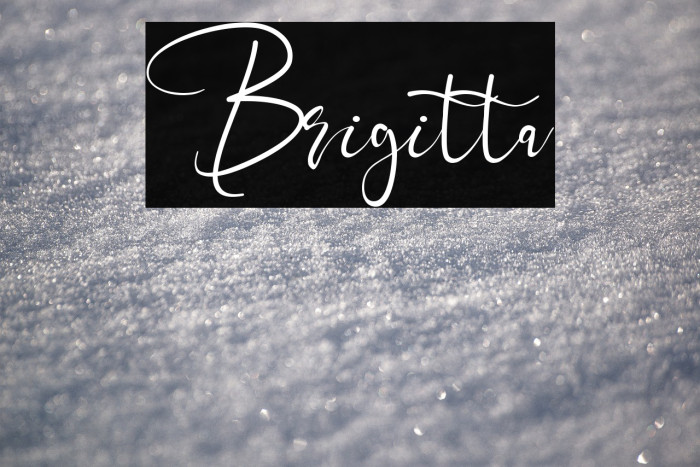 Brigitta Example 3