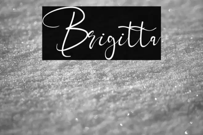 Brigitta Font examples