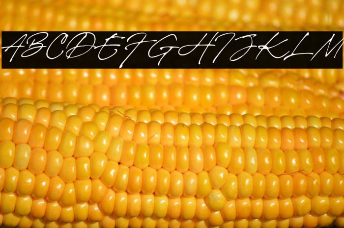 Brigitte Eigner Example 1