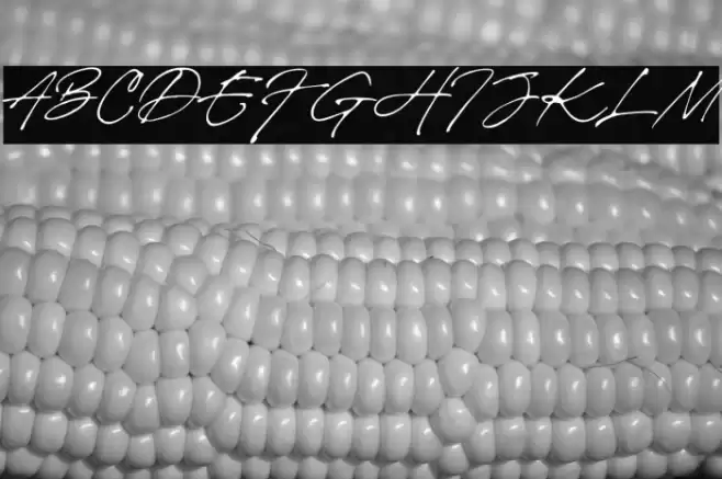 Brigitte Eigner Font examples