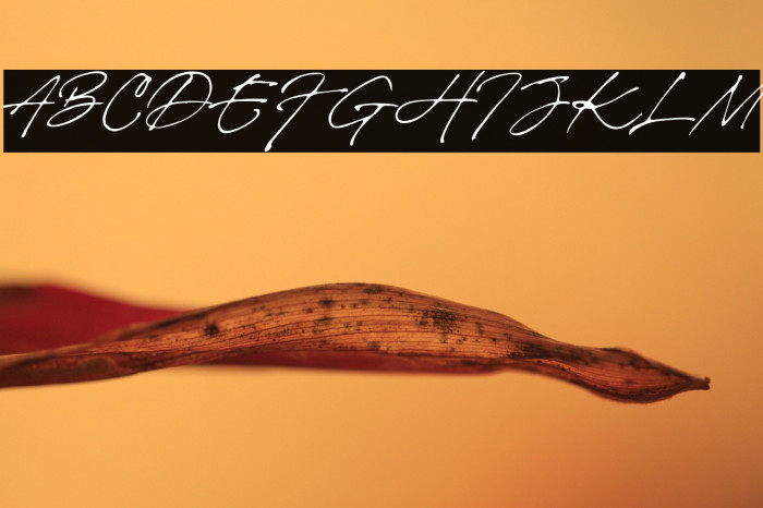 Brigitte Eigner Example 2