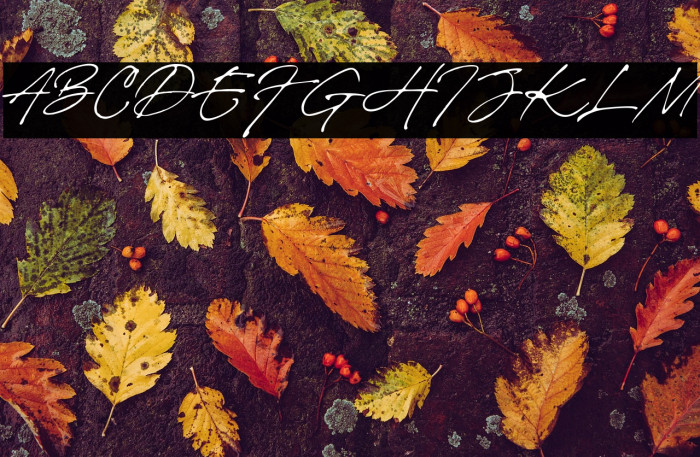 Brigitte Eigner Example 3