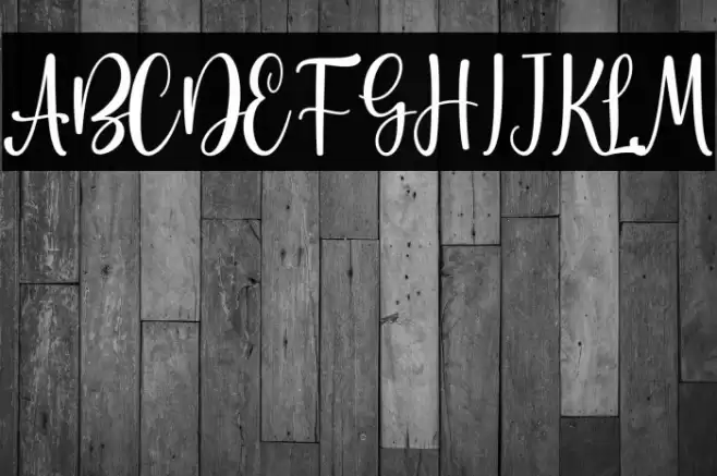 Brigtia Personal Use Font examples