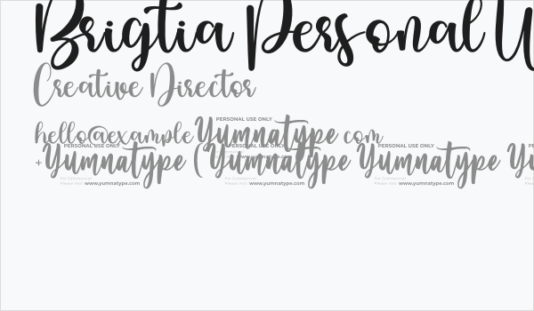 Brigtia Personal Use Business Card