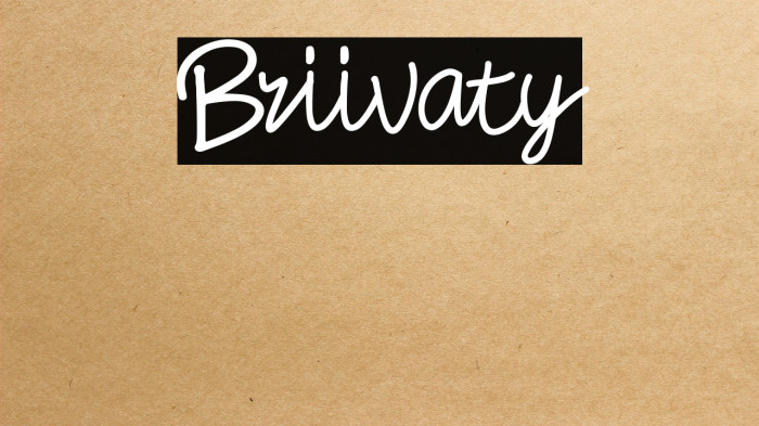 Briivaty Example 1