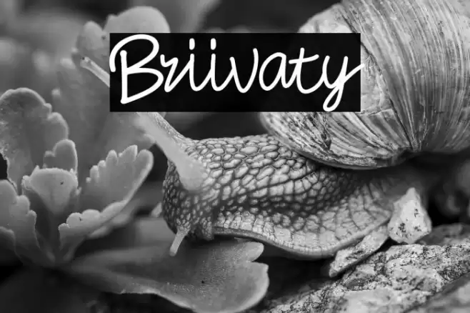 Briivaty Fuentes examples