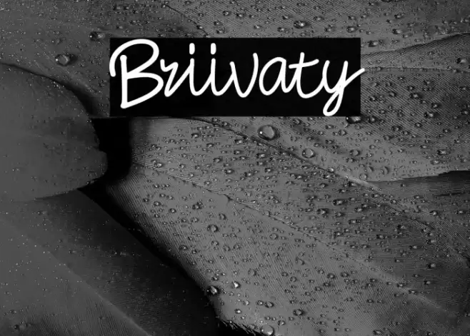 Briivaty Fuentes examples