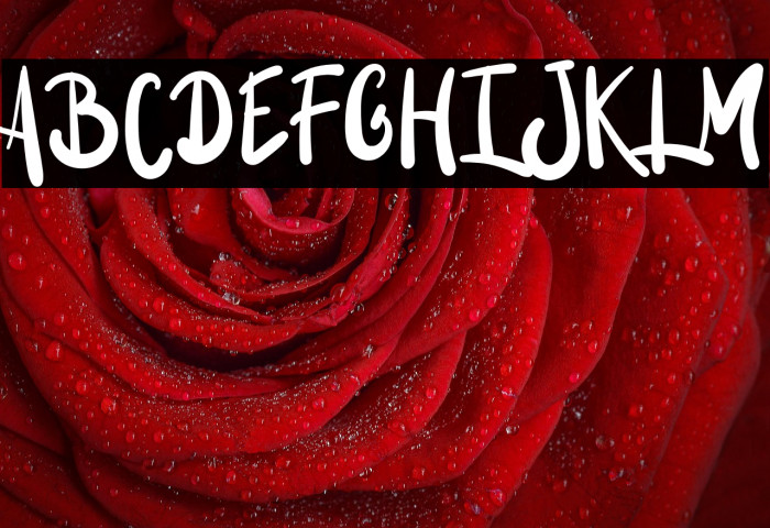 Brik Stang Example 3