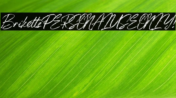 Briketts PERSONAL USE ONLY! Example 1