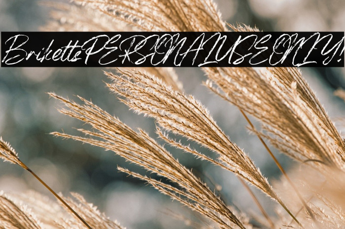 Briketts PERSONAL USE ONLY! Example 2