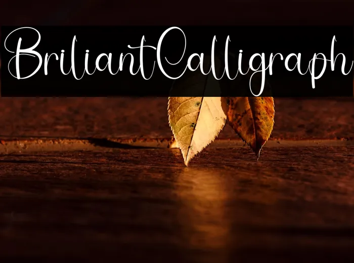 Briliant Calligraph Example 2