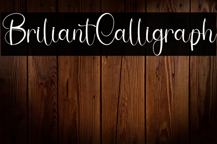 Briliant Calligraph Example 3