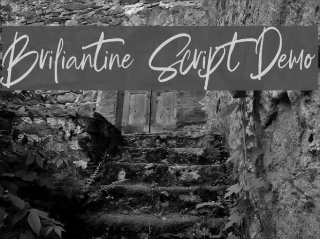 Briliantine Script Demo Font examples