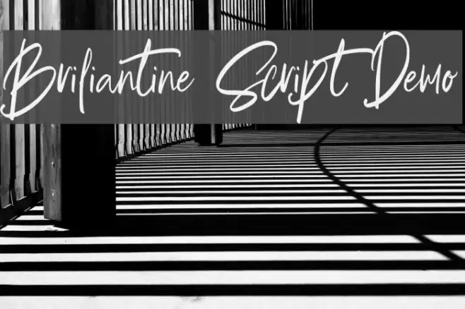 Briliantine Script Demo Font examples