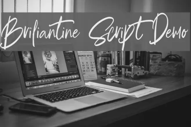 Briliantine Script Demo Font examples