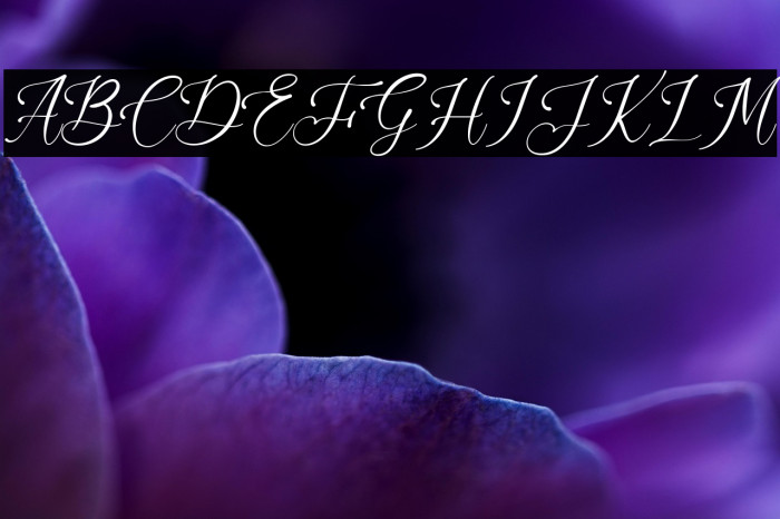 Briliantti Example 2