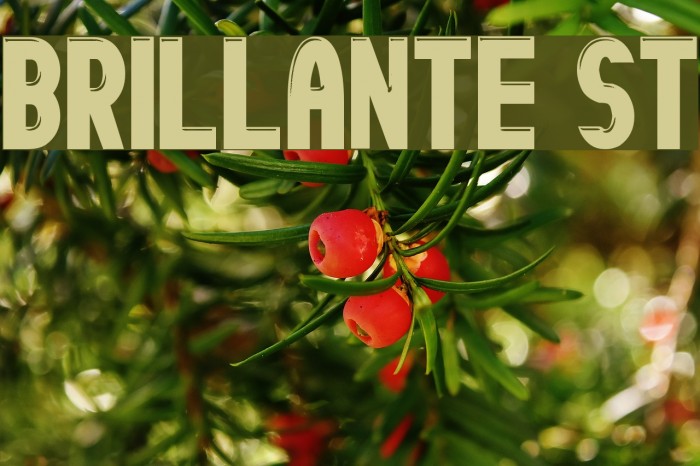 Brillante St Font examples
