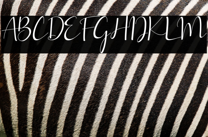 Brillia Calligraphy Example 2