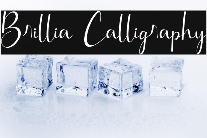 Brillia Calligraphy Example 1