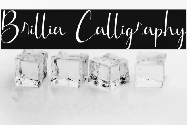 Brillia Calligraphy Font examples