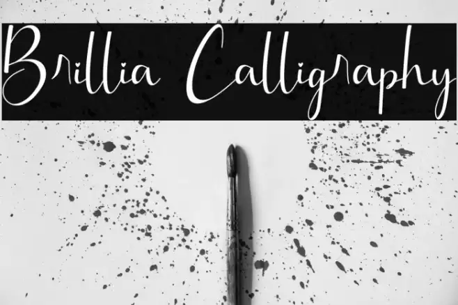 Brillia Calligraphy Font examples
