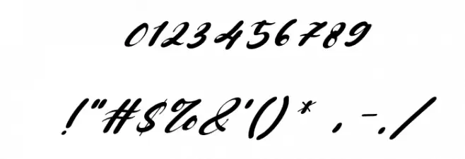 Brillian Italic Font OTHER CHARS