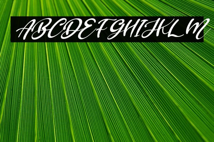 Brillian Italic Example 1