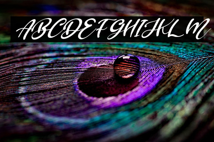 Brillian Italic Example 3