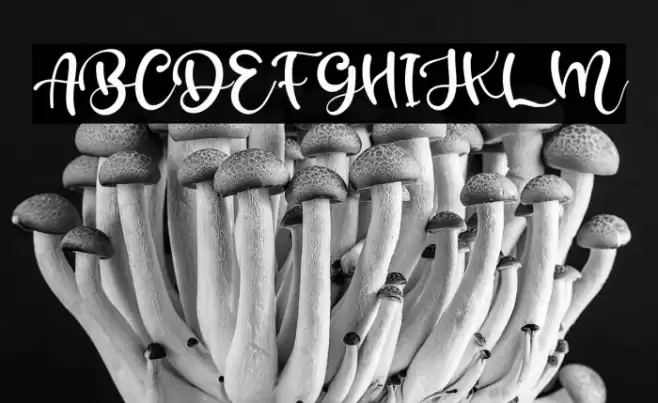 Brillian Font examples