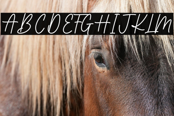 Brilliance Signature Example 1